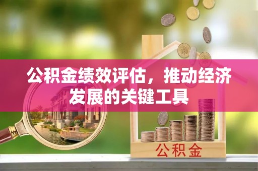 永新公积金绩效评估，推动经济发展的关键工具