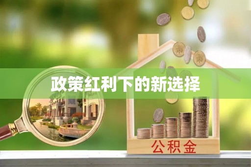 永新政策红利下的新选择