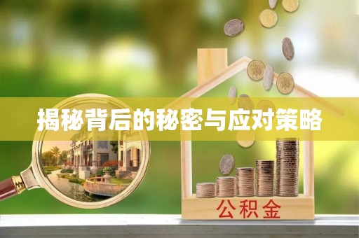 永新揭秘背后的秘密与应对策略