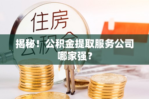 永新揭秘！公积金提取服务公司哪家强？